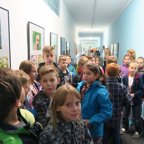 Jedna skupina ještě prohlíží siluety dravců a další - žáci z 5. A v ZŠ Lánecká - již netrpělivě vyčkávají na chodbě před vstupem do auly.